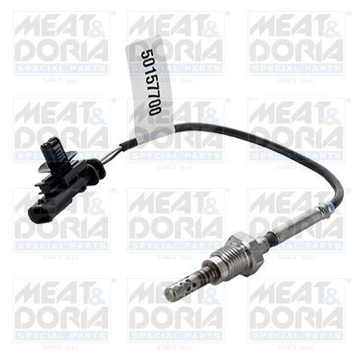 Sensor, exhaust gas temperature